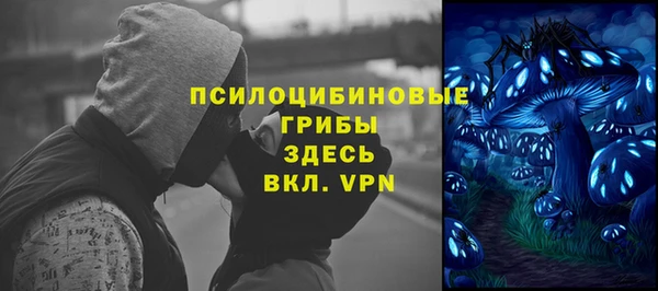 ГАЛЛЮЦИНОГЕННЫЕ ГРИБЫ Карпинск