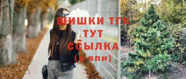 ГАЛЛЮЦИНОГЕННЫЕ ГРИБЫ Карпинск