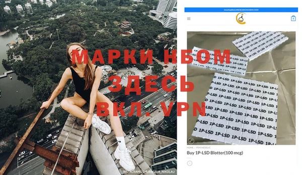 ГАЛЛЮЦИНОГЕННЫЕ ГРИБЫ Карпинск